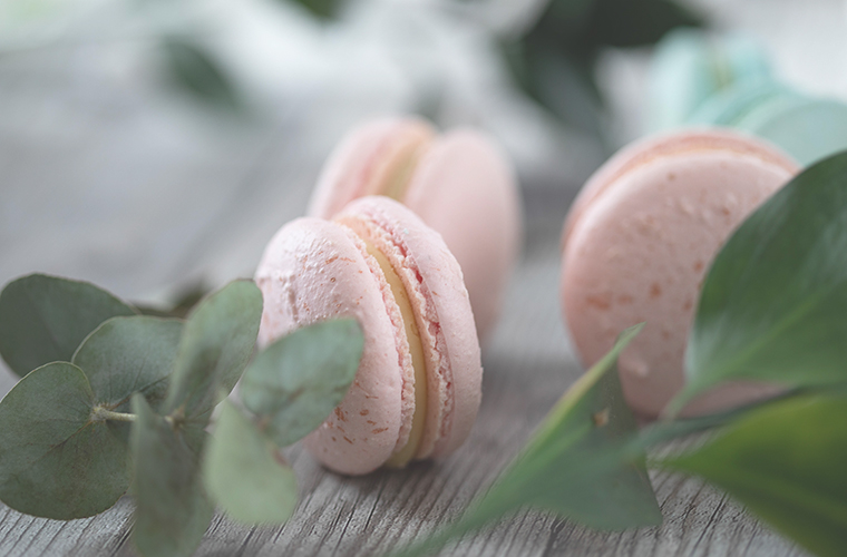 Pink macarons among eucalyptus leaves