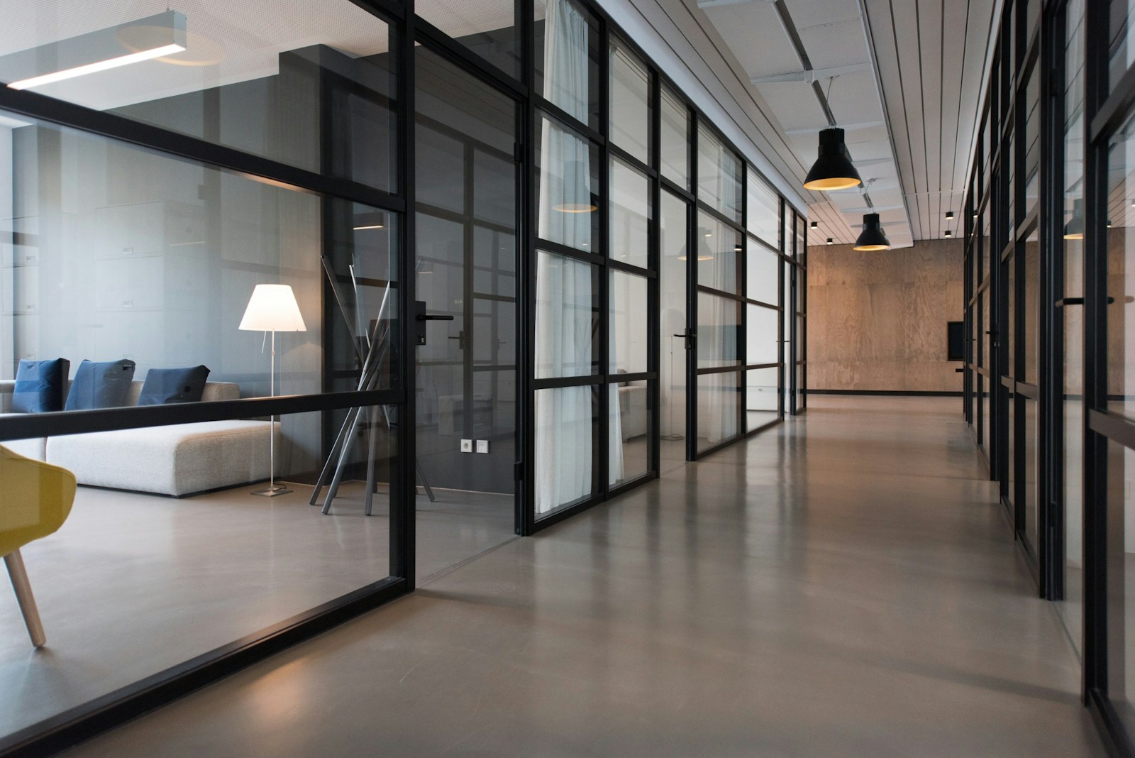 A bright contemporary workspace with natural light and greenery